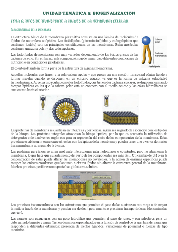 Miniatura del documento BLOQUE-3-BIOQUIMICA.pdf