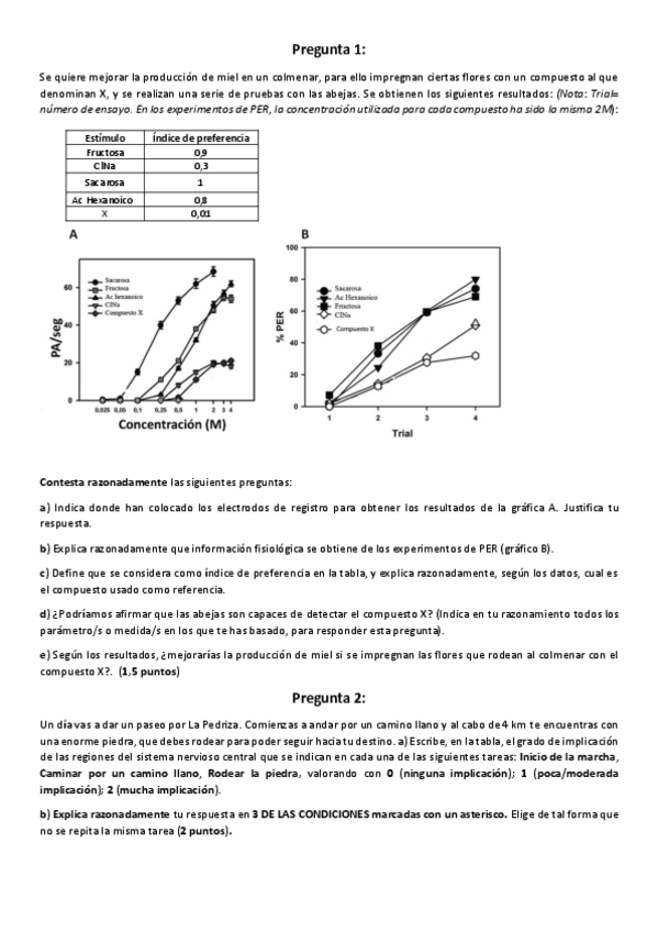Miniatura del documento Examen-NF-2020.pdf