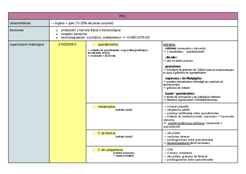 Miniatura del documento TEMA-20-piel-y-anexos.pdf