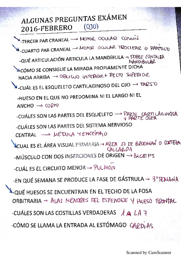 Miniatura del documento Posibles preguntas de examen.pdf