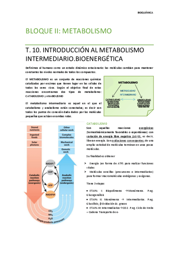 Miniatura del documento BLOQUE II Bioquímica