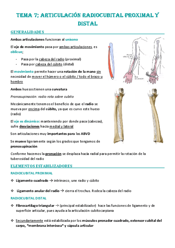 Miniatura del documento Tema-7-Articulacion-radiocubital.pdf