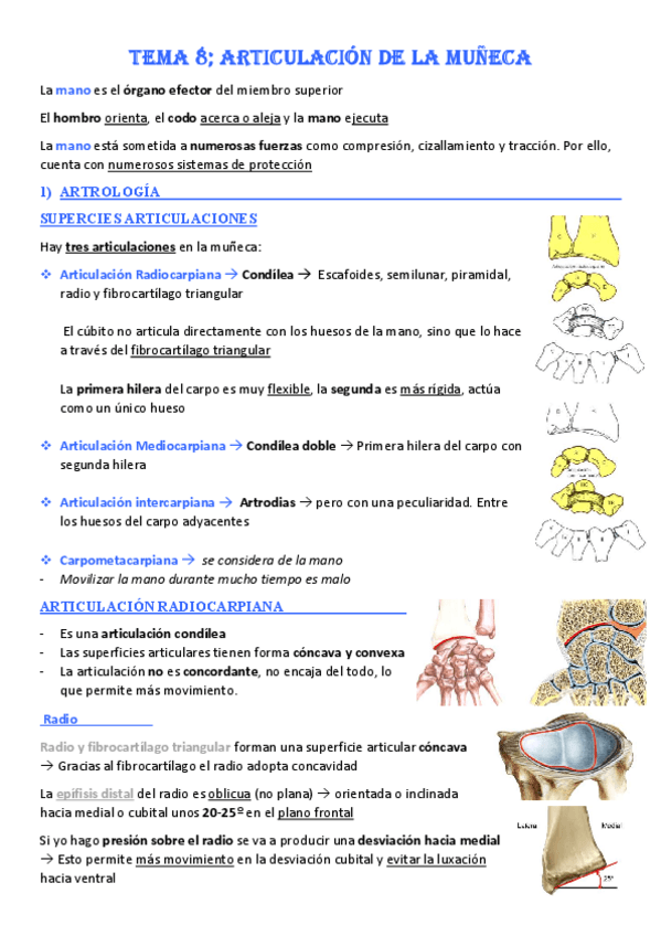 Miniatura del documento Tema-8-Articulacion-de-la-muneca.pdf