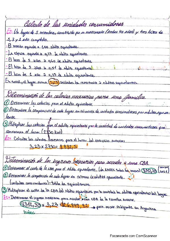 Miniatura del documento calculo-canasta-basica-Alimentaria-CBA.pdf
