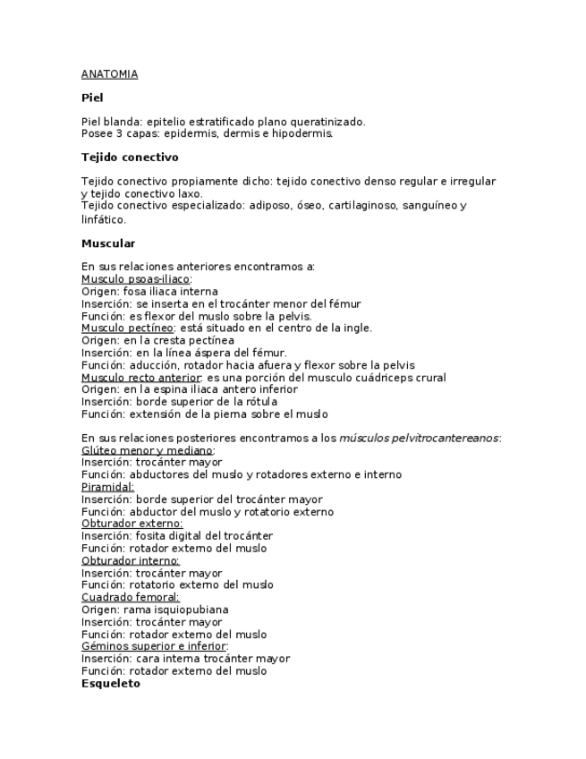 Miniatura del documento ANATOMIA.docx
