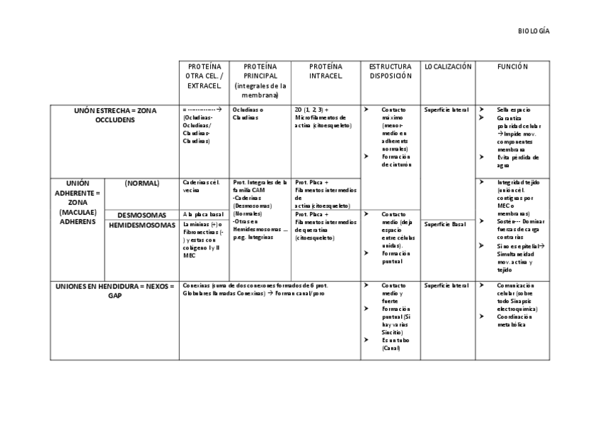Miniatura del documento Tabla-Contactos-Celulares.pdf