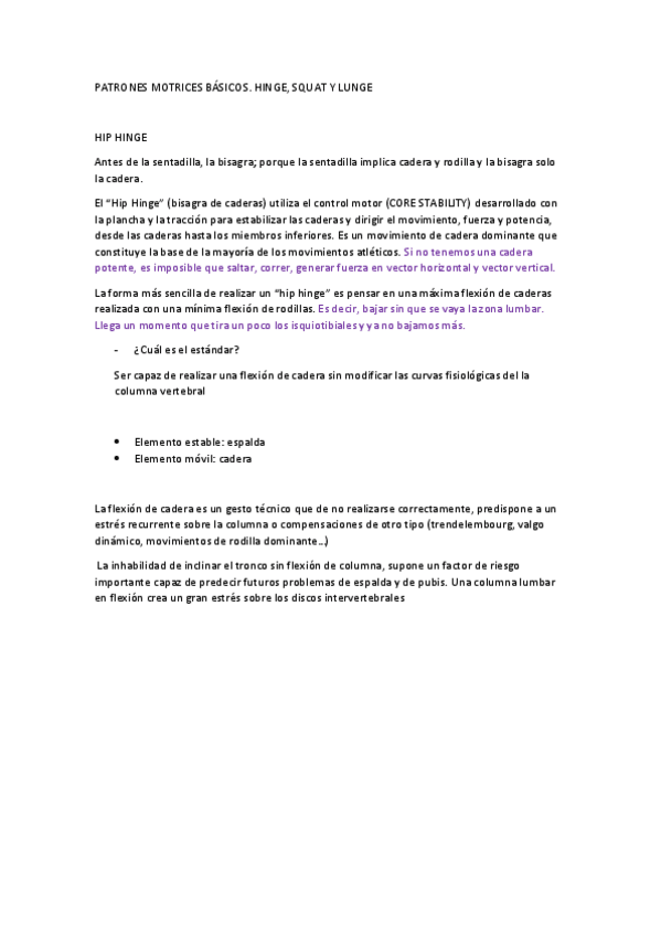 Miniatura del documento T3-HINGE-SQUAT-Y-LUNGE.pdf