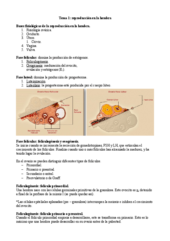 Miniatura del documento Tema-1-JC.pdf