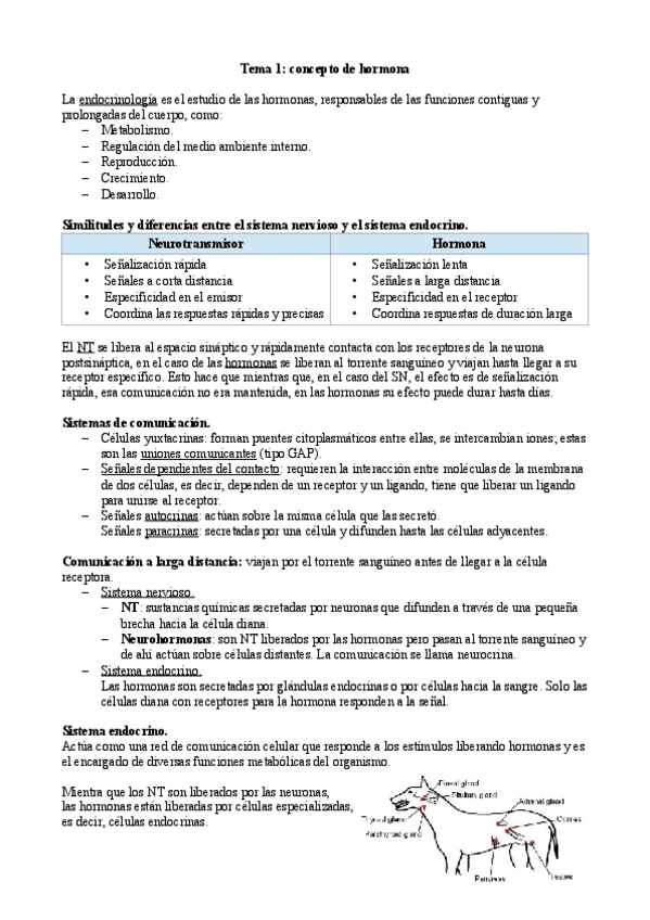 Miniatura del documento Tema-1-Marta.pdf