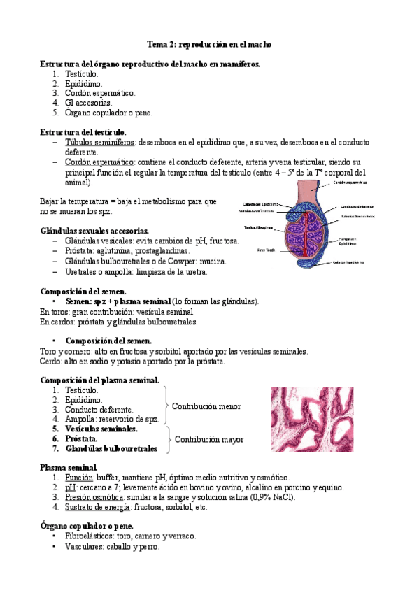 Miniatura del documento Tema-2-JC.pdf