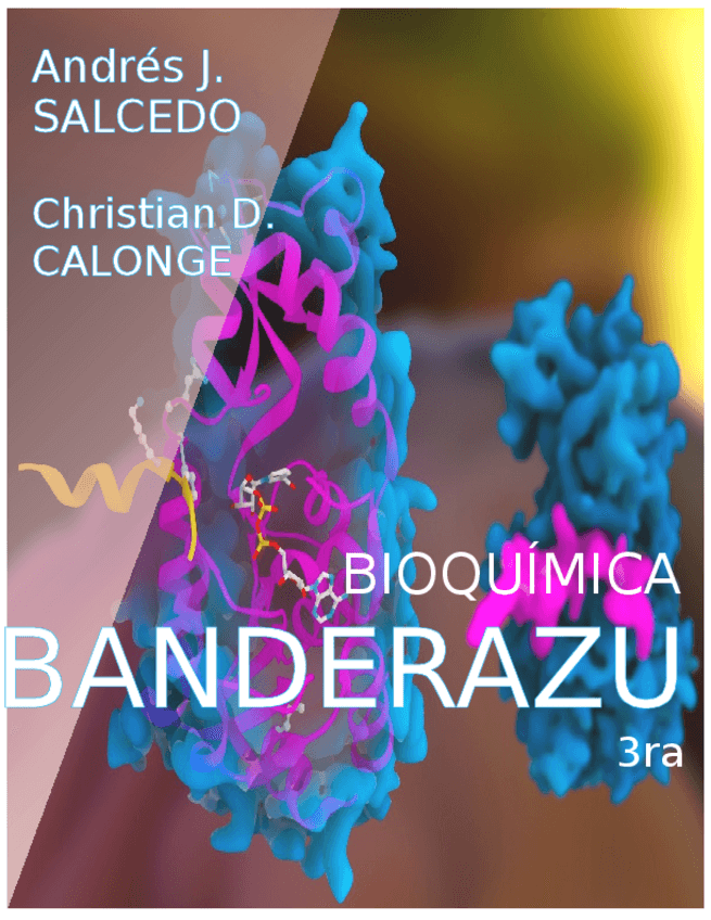 Miniatura del documento BANDERAZU-3-ED.docx