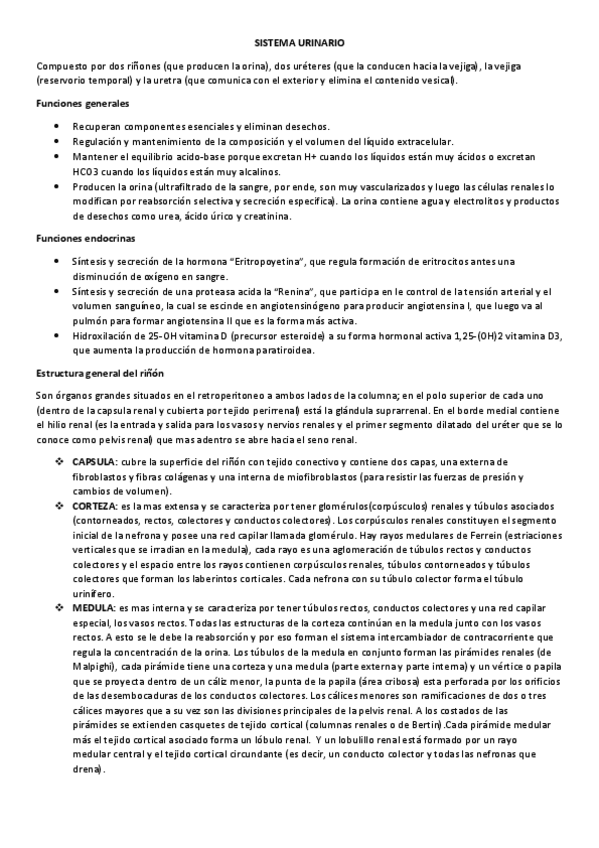 Miniatura del documento SISTEMA-URINARIO.pdf