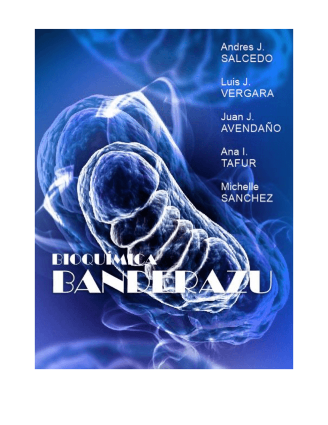 Miniatura del documento BIOQUIMICA-BANDERAZU.pdf