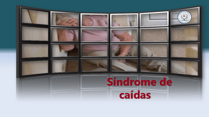 Miniatura del documento SX-caidas.pdf