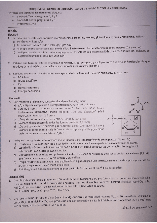 Miniatura del documento 1-parcial-de-bioquimica-2022.pdf