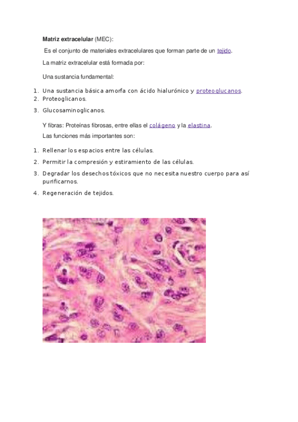 Miniatura del documento Tejido-Conectivo.docx