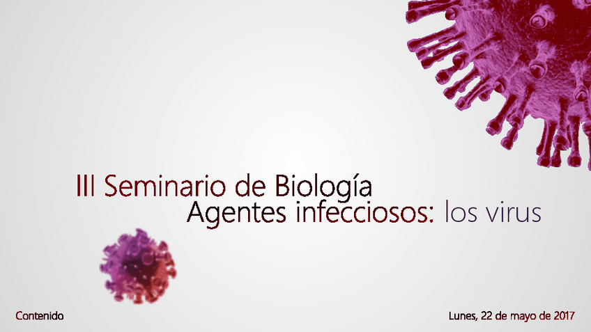 Miniatura del documento Seminario-Virus.pdf