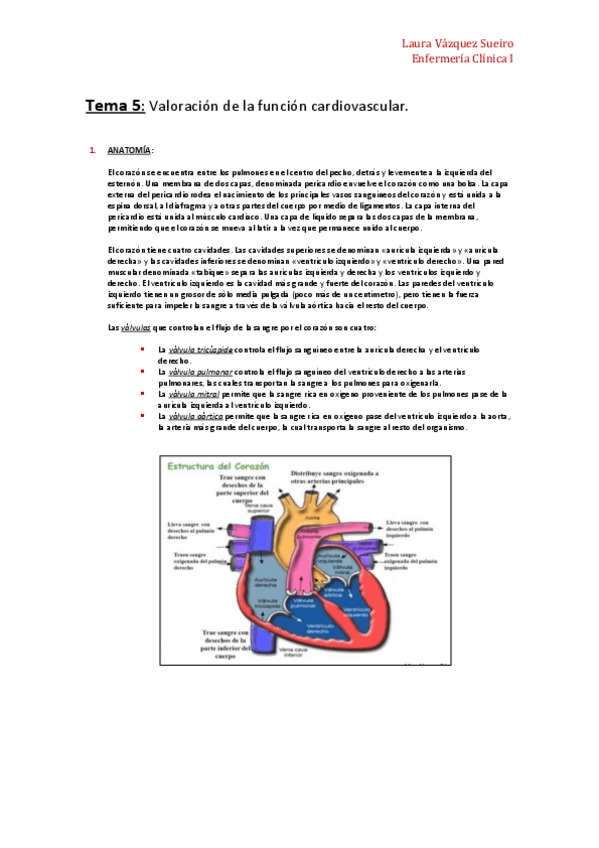 Miniatura del documento Tema-5-Transtornos-cardiovasculares-Enfermeria-Clinica-Laura-Sueiro.pdf