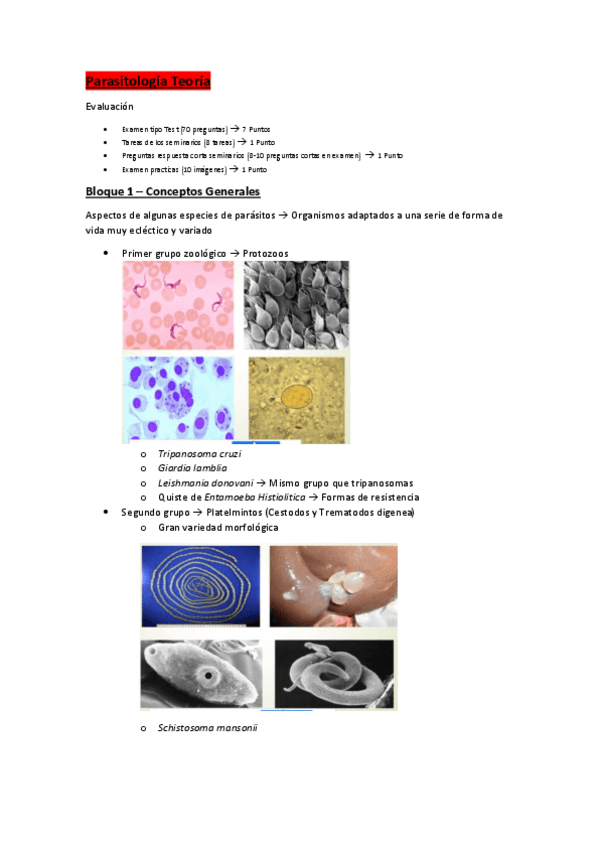 Miniatura del documento PARASITOLOGIA.pdf