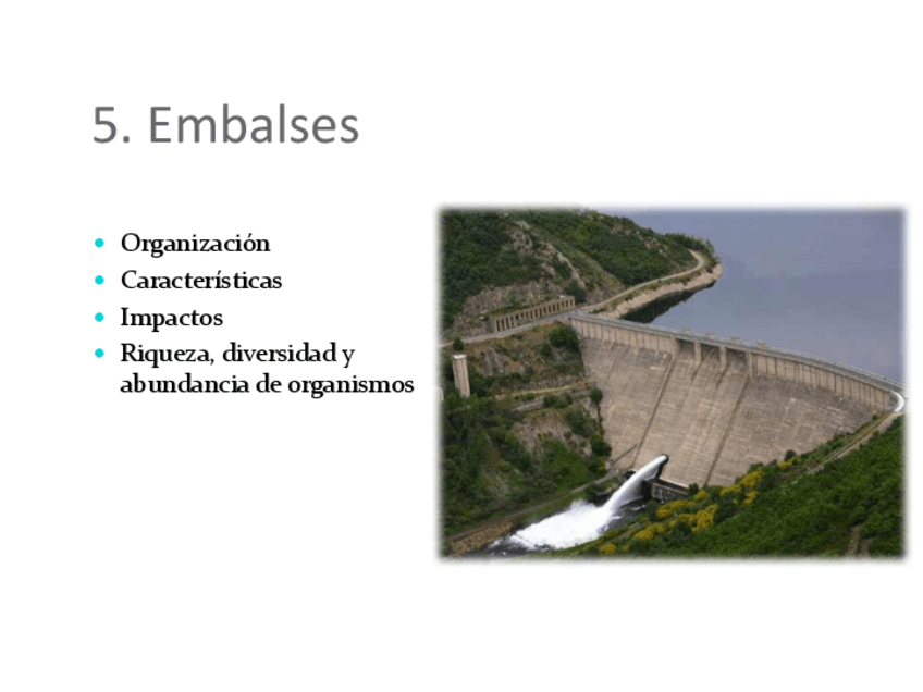 Miniatura del documento EF4_Embalses.pdf