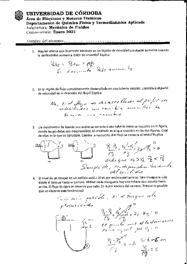 Miniatura del documento examen-Enero-2021.pdf