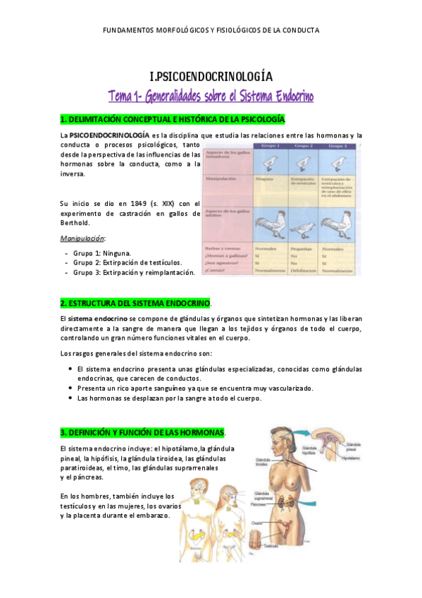 Miniatura del documento 1-PSICOENDOCRINOLOGIA-MORFOLOGICOS.pdf