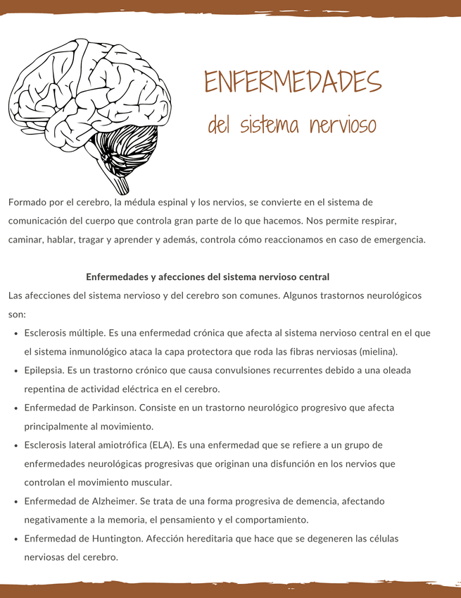 Miniatura del documento Enfermedades-y-afecciones-del-sistema-nervioso-central.png