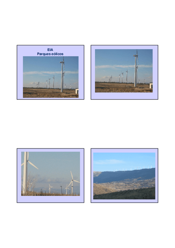 Miniatura del documento EIA_Parques_eolicos.pdf
