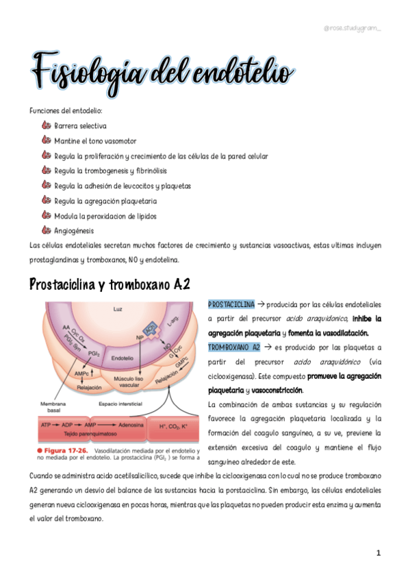 Miniatura del documento T17-Fisiologia-del-endotelio-LCR-y-BHE-Sistema-limbico.pdf