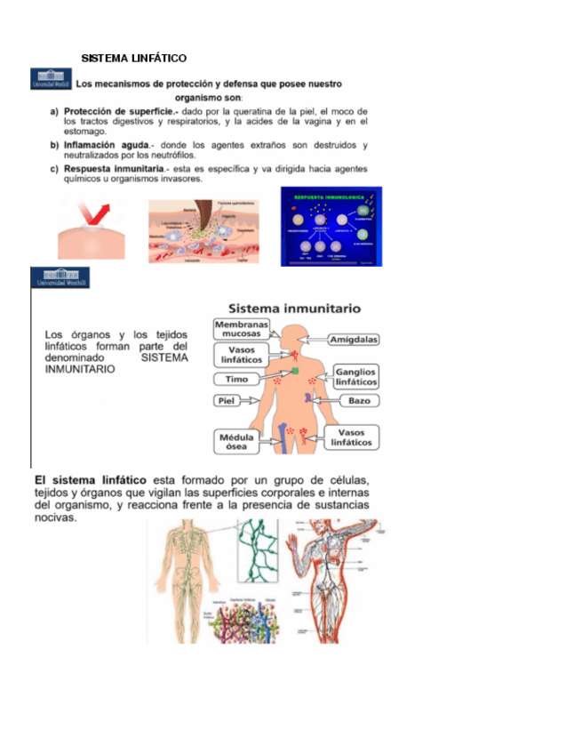 Miniatura del documento SISTEMA-LINFATICO-BIOLOGIA-CELULAR.pdf