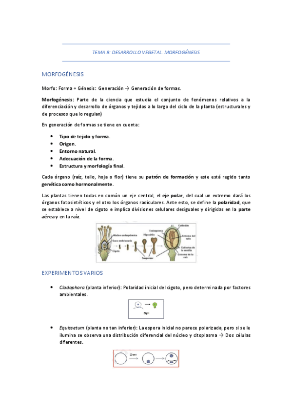 Miniatura del documento TEMA-9-DESARROLLO-VEGETAL.pdf