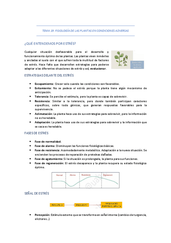 Miniatura del documento TEMA-19-FISIOLOGIA-DE-LAS-PLANTAS-EN-CONDICIONES-ADVERSAS.pdf