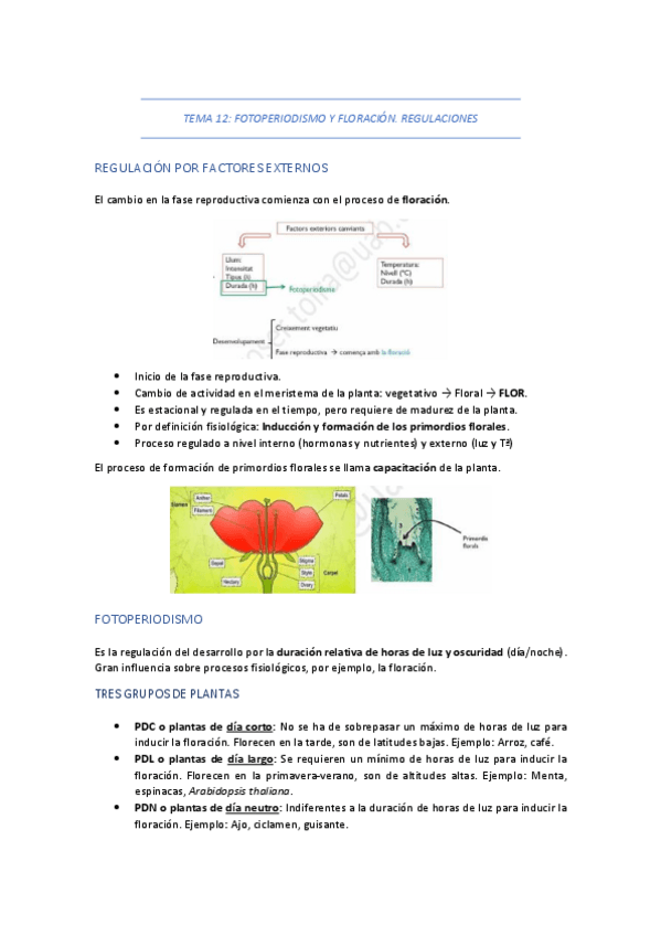 Miniatura del documento TEMA-12-FOTOPERIODISMO-Y-FLORACION.pdf