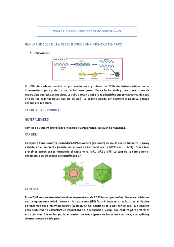 Miniatura del documento TEMA-13-CLASE-II-VIRUS-DE-DNA-DE-CADENA-UNICA.pdf