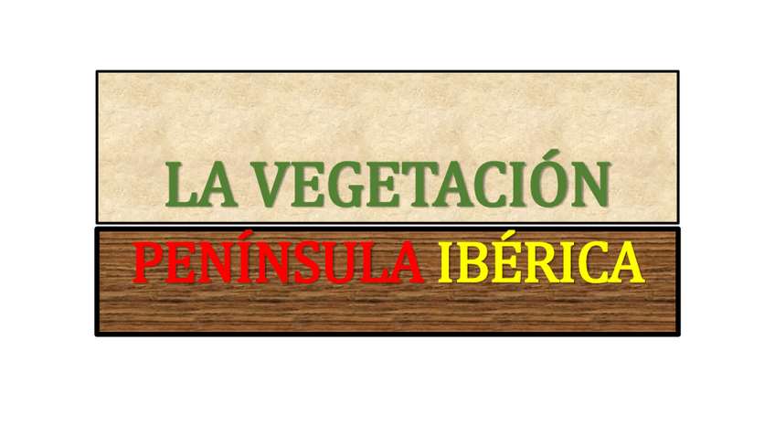 Miniatura del documento LA-VEGETACION-PENINSULA-IBERICA.pdf