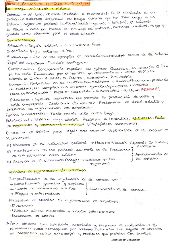 Miniatura del documento Tema-5.pdf