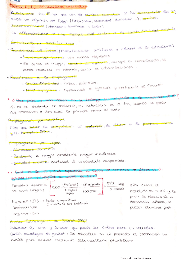 Miniatura del documento Tema-4.pdf
