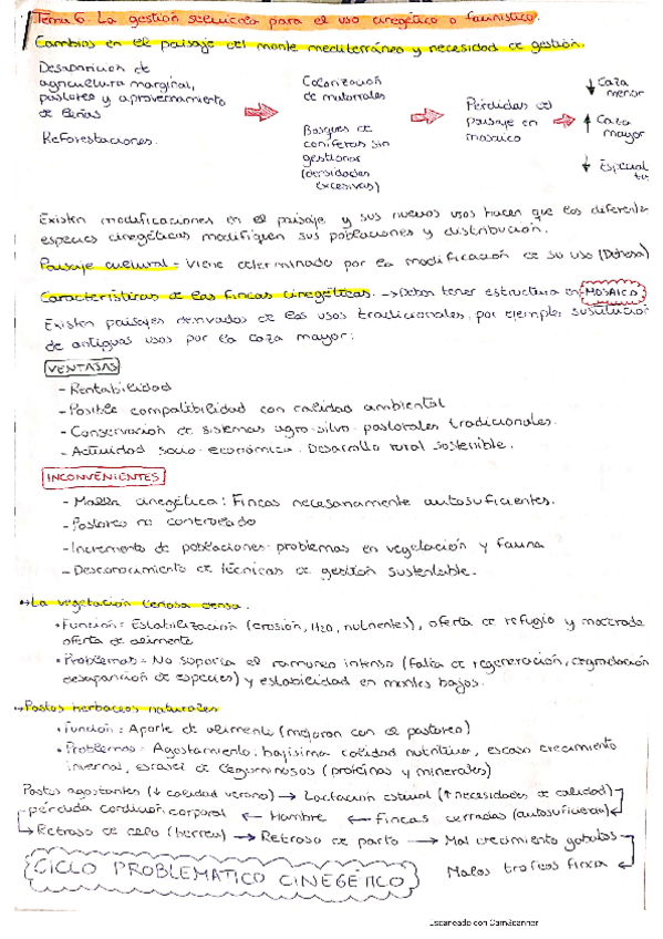 Miniatura del documento Tema-6.pdf