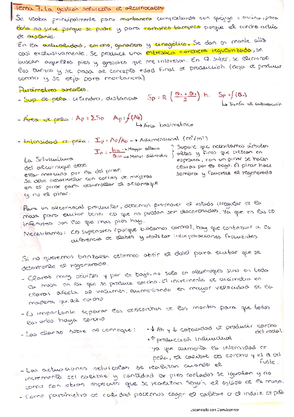 Miniatura del documento Tema-7.pdf