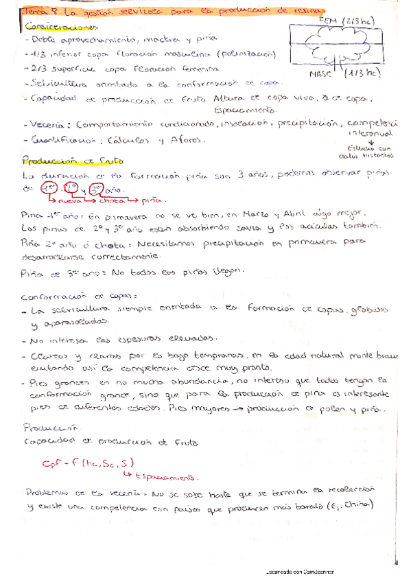 Miniatura del documento Tema-8.pdf