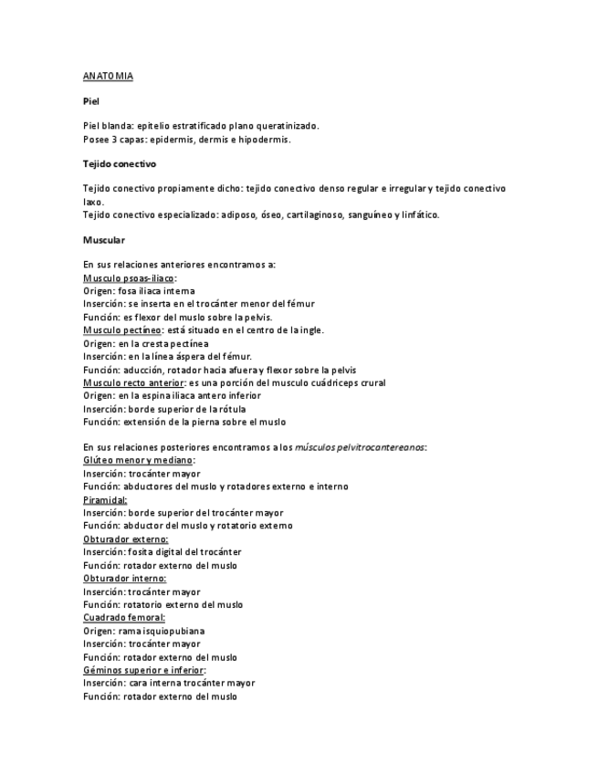 Miniatura del documento ANATOMIA.pdf