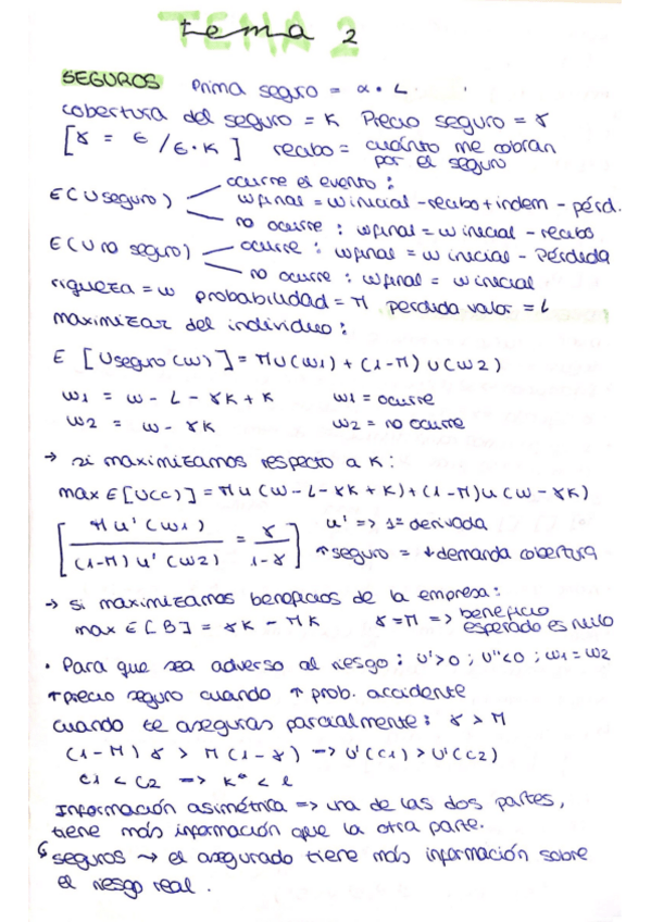 Miniatura del documento Esquemas-Tema-2-incertidumbre-.pdf