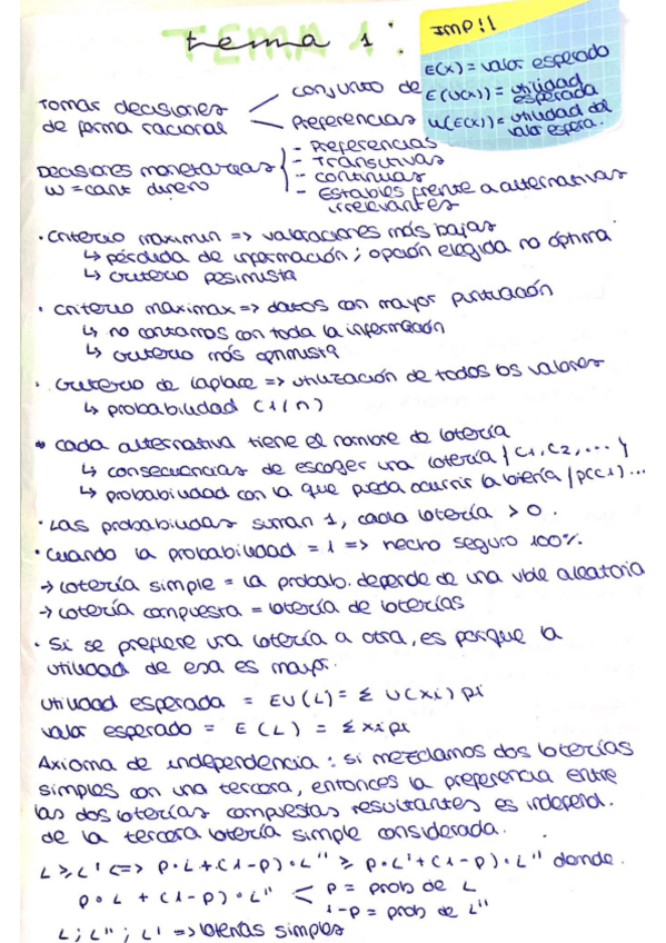 Miniatura del documento Esquemas-tema-1-incertidumbre-.pdf