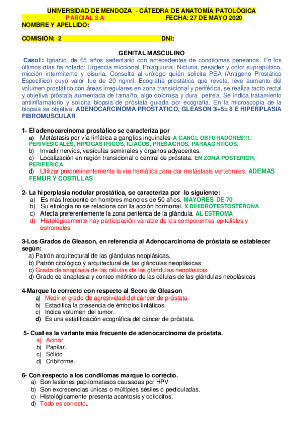 Miniatura del documento parcial-3.pdf