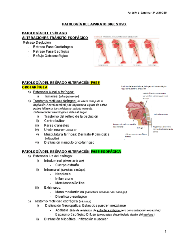 Miniatura del documento PG-GASTROINTESTINAL.pdf