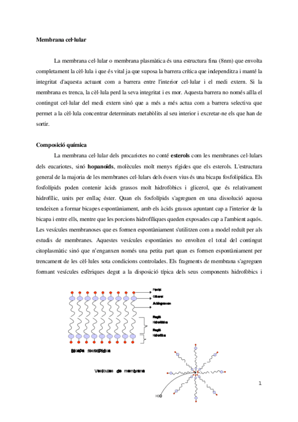 Miniatura del documento Bloc 1. El mon microbia.pdf