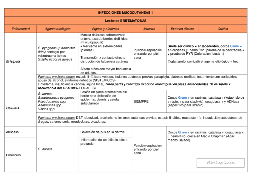 Miniatura del documento S3-INFECCIONES-MUCOCUTANEAS-1.pdf
