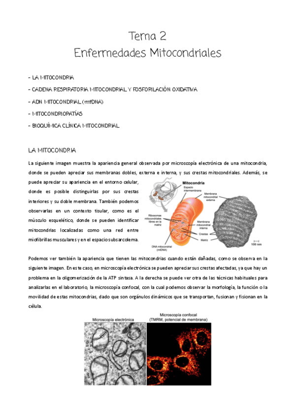 Miniatura del documento Tema-2.pdf