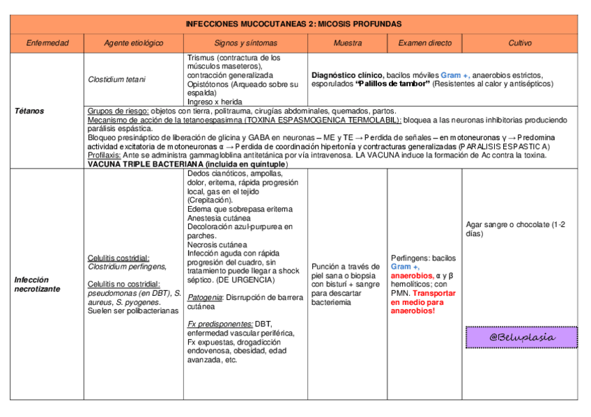 Miniatura del documento S4-MUCOCUTANEAS-2.pdf