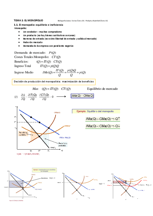 Miniatura del documento temas-micro-II.pdf